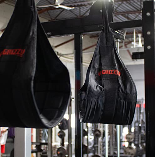 Grizzly Fitness Deluxe Hanging Ab Straps