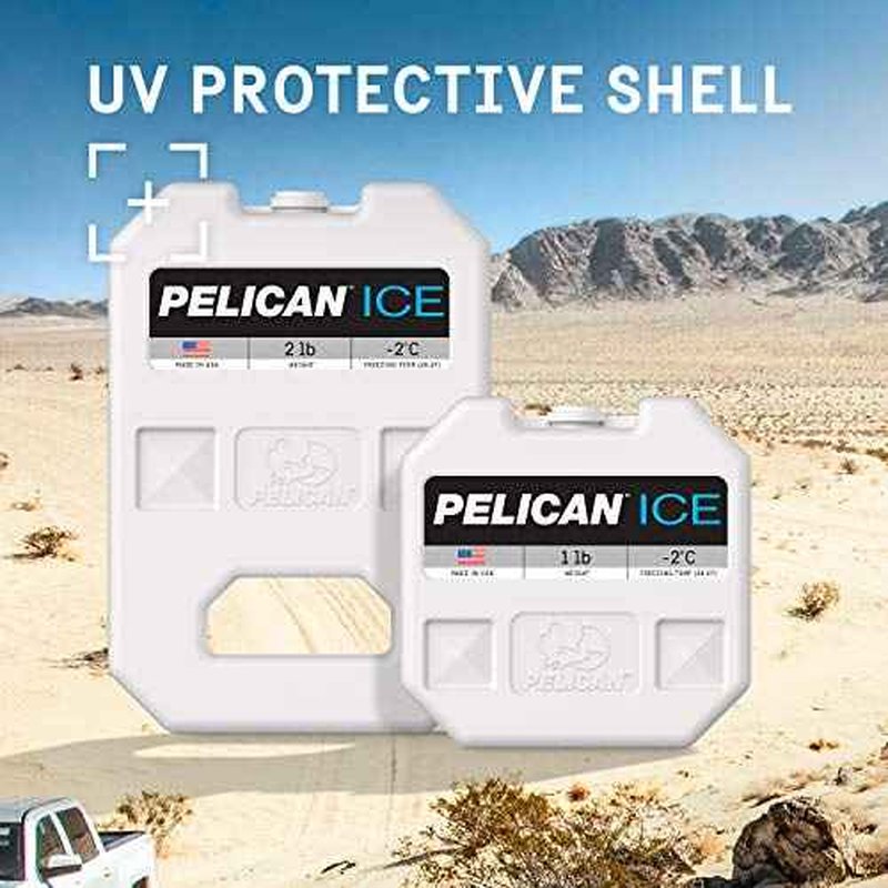 Pelican Ice