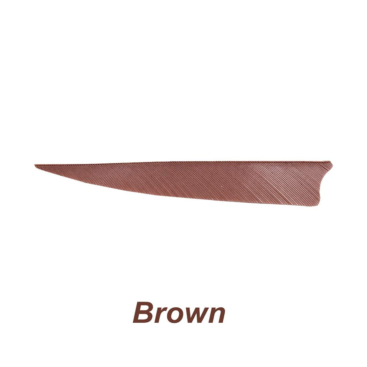 Letszhu Archery Arrows Feather Fletching 4 Inch Real Turkey Vanes for Hunting Target Shooting (25 Pack) (Brown)