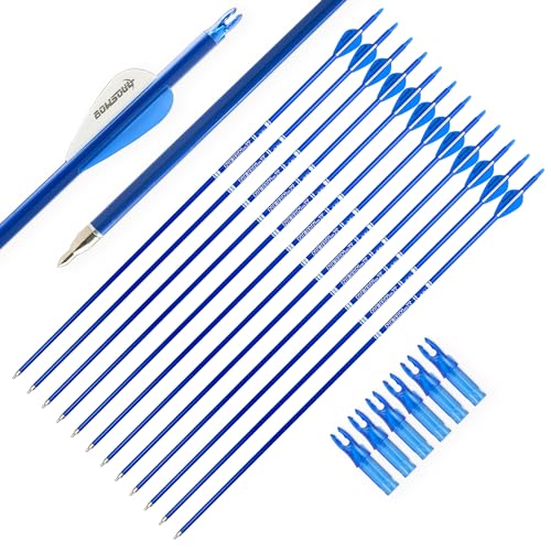 BOWSOUL Carbon Arrow Archery 30inch Bright Colors Hunting Target Practice Arrows for Compound & Recurve Bow Spine 500 with Removable Tips (Pack of 12) (Bright Blue)