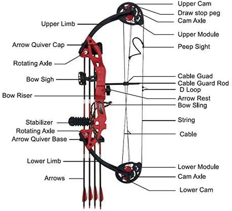 Compound Bow for Youth & Beginners - Right-Handed, 19”-28” Draw Length, 15-29 Lbs Draw Weight, 260 FPS