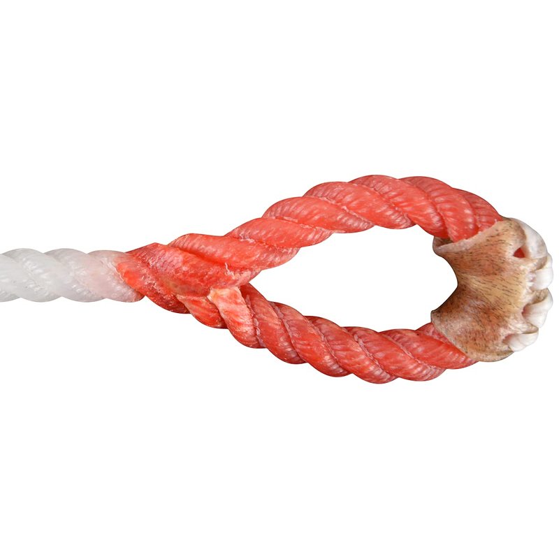 Rattler Racer Calf Piggin Red Eye String M Hard