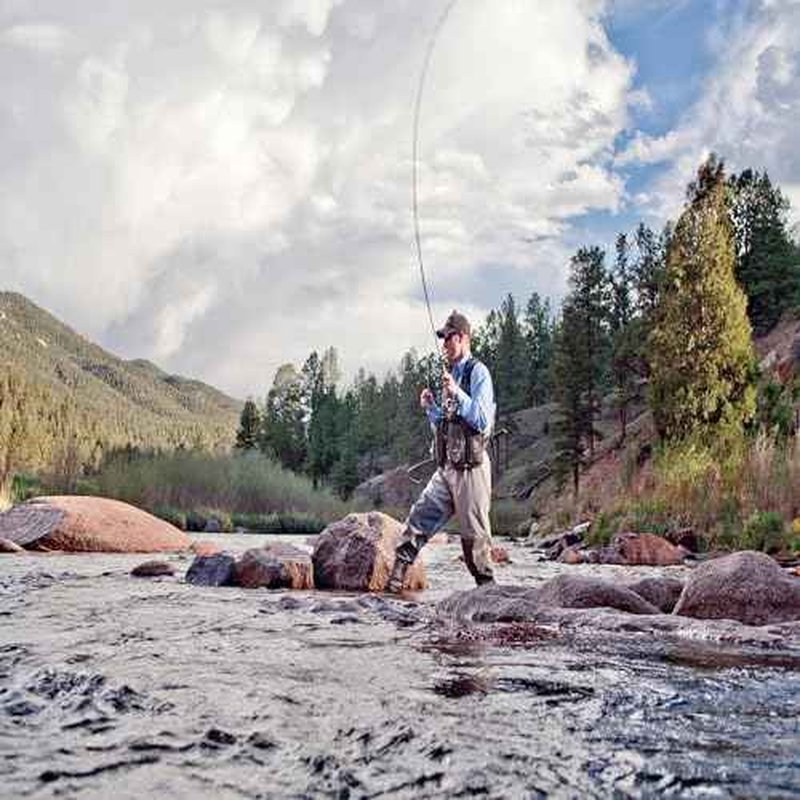 Allen Company Fishing Rod Case, Fly Fishing Case, Universal Fishing Pole Case 45¡±