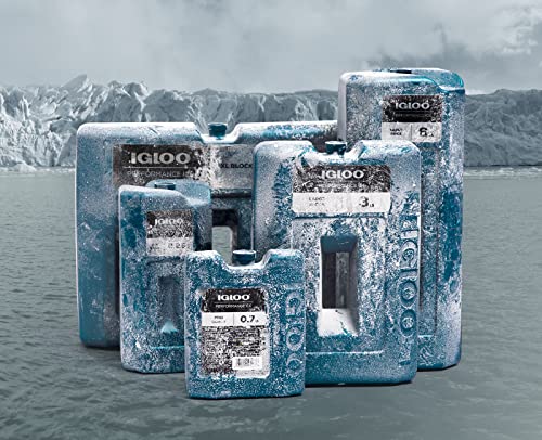 Igloo Performance Ice Large Block Medium