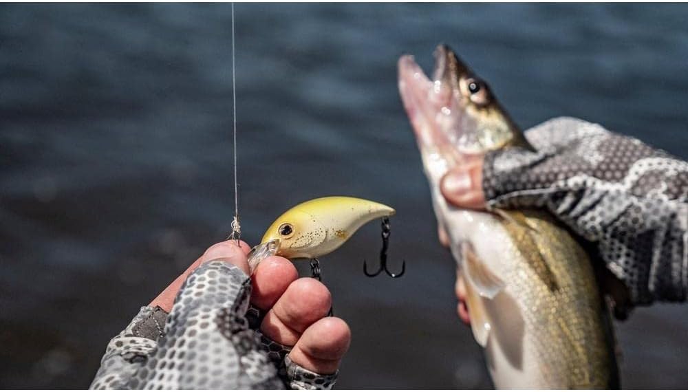Berkley Money Badger Fishing Hard Bait - Durable Lure for Freshwater Fishing | 3-Inch, Multi-Color Options