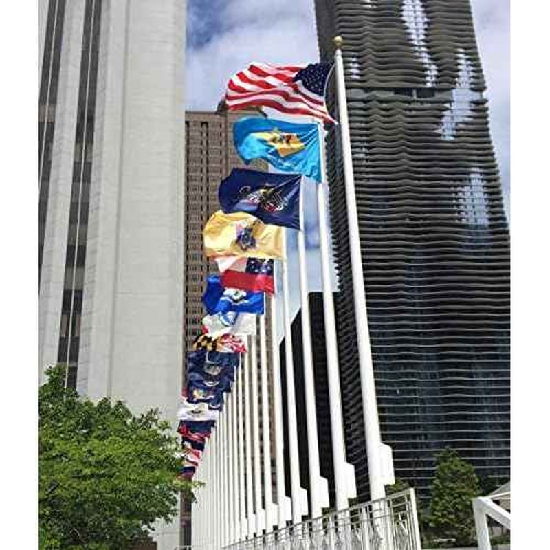 Annin Flagmakers South Carolina State Flag USA-Made to Official State Design Specifications, 4 x 6 Feet (Model 144870)
