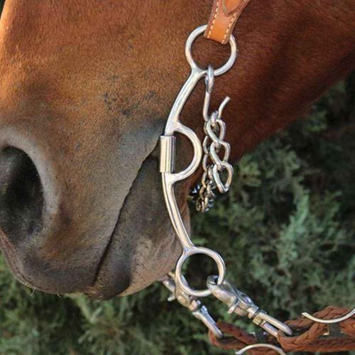 Professional's Choice Derby Bit 6.75" TWST Low Port, Size: 5.75 (BRB-304)