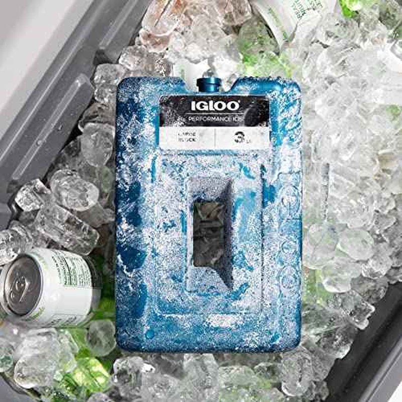 Igloo Performance Ice Block