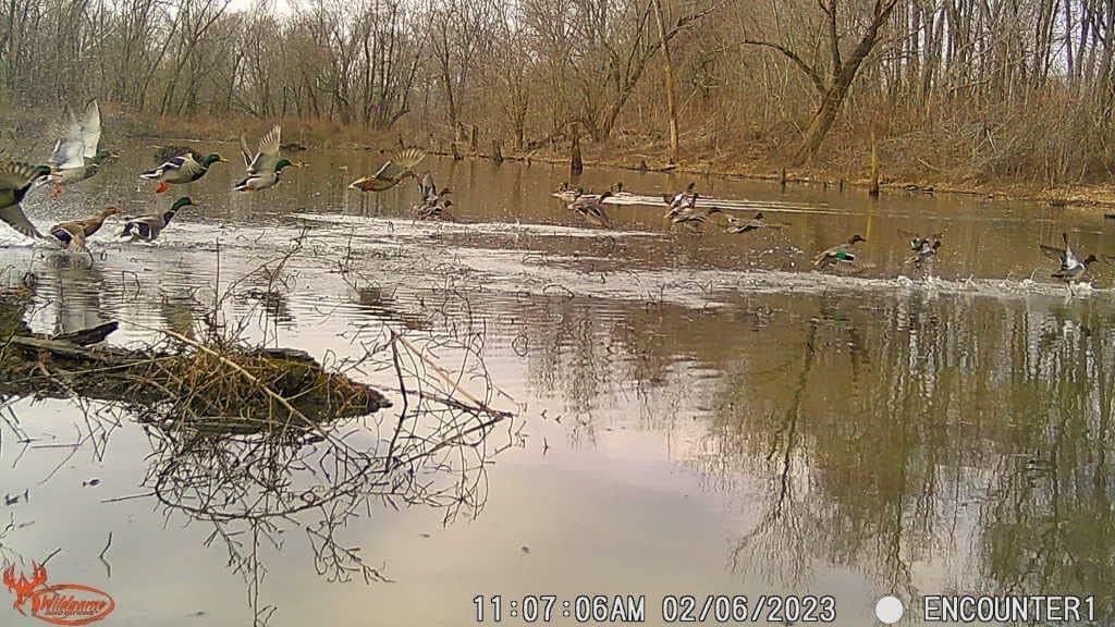 Wildgame Innovations Terra Xtreme 16MP Trail Camera - High-Resolution Night Vision