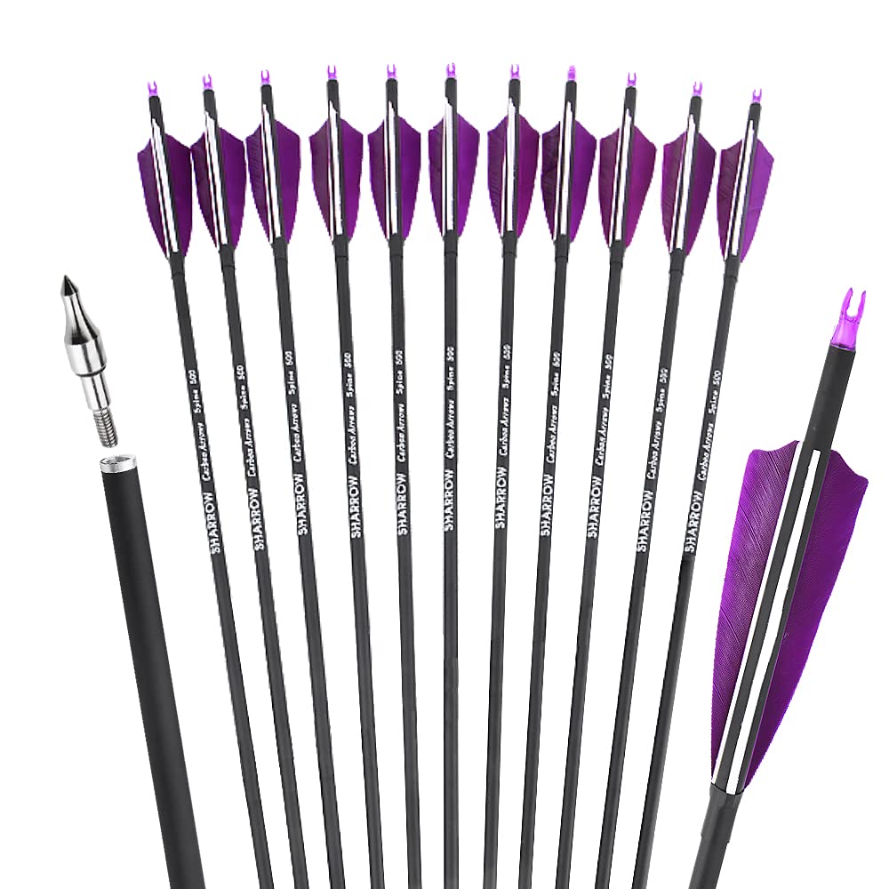 ZSHJGJR 30 Inch Archery Carbon Arrows Hunting Arrows with 4” Turkey Feather Target Practice Arrows Spine 500 for Compound & Recurve &Traditional Bow 6/12pcs (12 x Purple Arrows + Quiver)