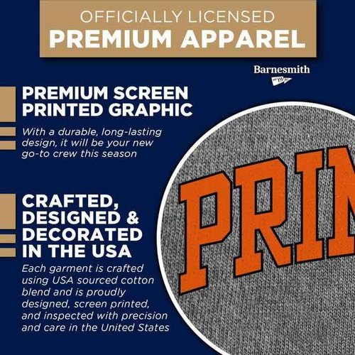 Ivysport Princeton University Crewneck Sweatshirt, Essential, Grey, Medium