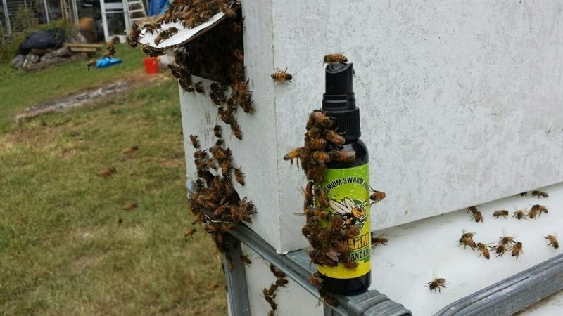 Swarm Lure Spray - 2oz High Mist Insect Attractant for Effective Trapping