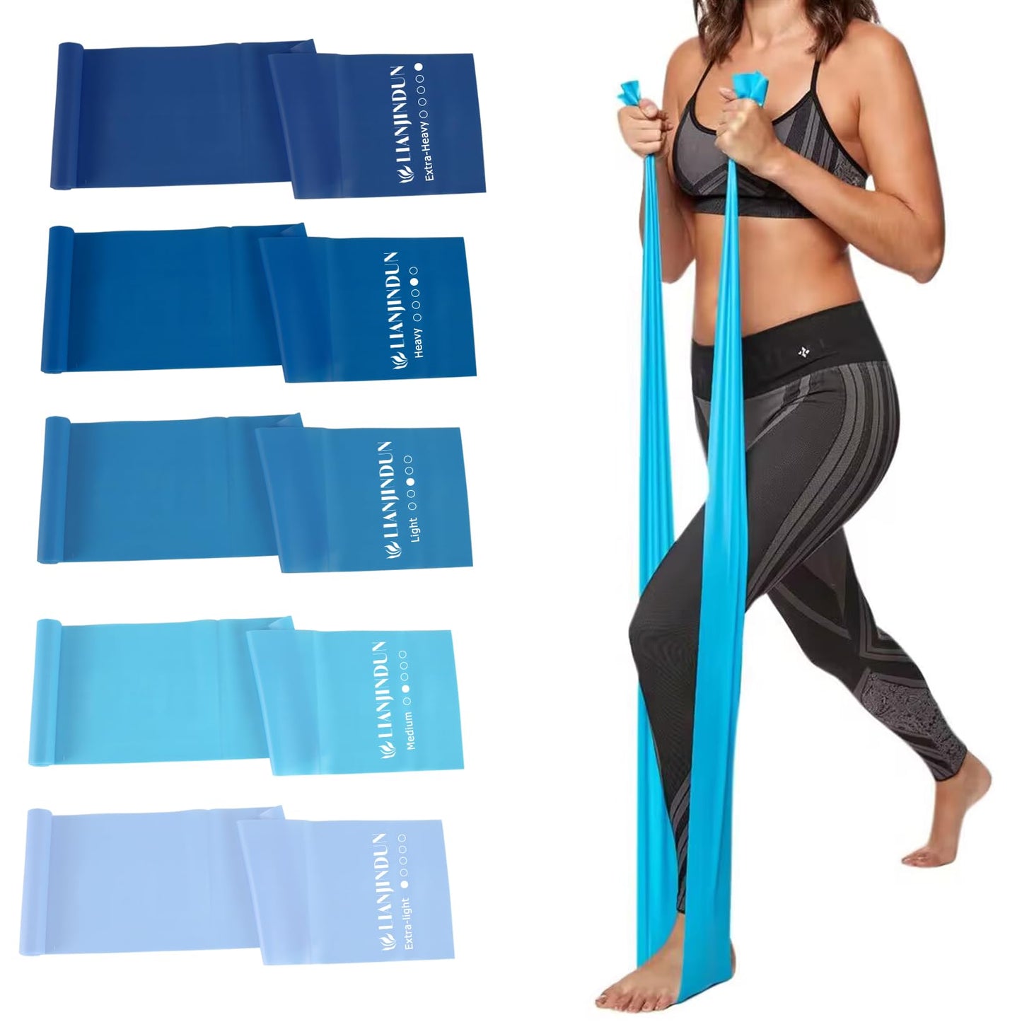 5 Pcs Professional Resistance Bands. Latex-Free, Work Out Bands, Stretch Bands for Working Out Women or Men, Exercise Bands Set for Physical Therapy (Gradient Blue Set (10-40lbs))