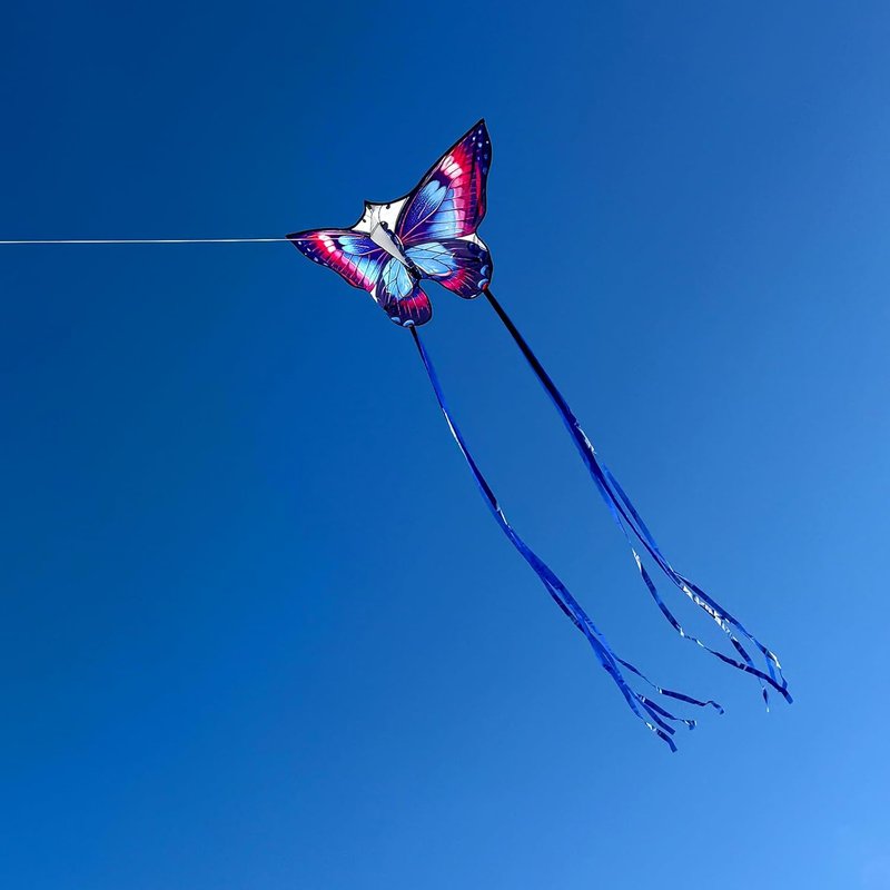 Butterfly Kites - Easy to Fly Large Single Line Kite for Kids & Adults | 55" x 28" Beach Kite with 300ft String Handle