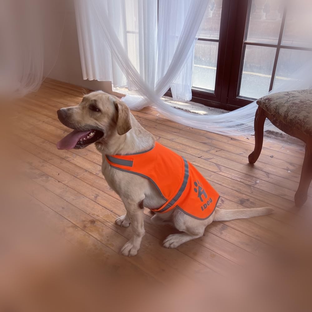 IDOU Orange Reflective Dog Safety Vest - High Visibility for Walking, Jogging & Training - Size XS