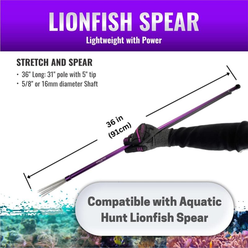 5 Point Non-Barbed 8mm Thread Spear Tip for Lionfish | 36” Pole Spear Accessory