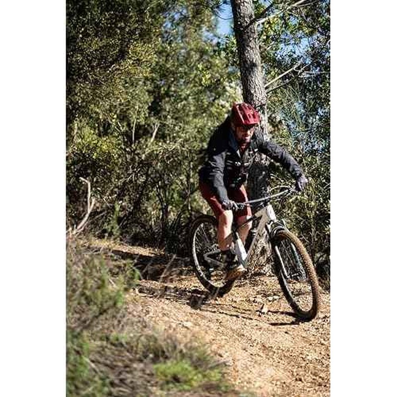 Continental Magnotal 29x2.40 Tubeless Ready Mountain Bike Tire | 1 Pack, Fast & Grippy On Mixed & Loose Terrain, E25 Electric Bike Rated, Folding ? Soft Compound, Trail Casing, Black/Transparent