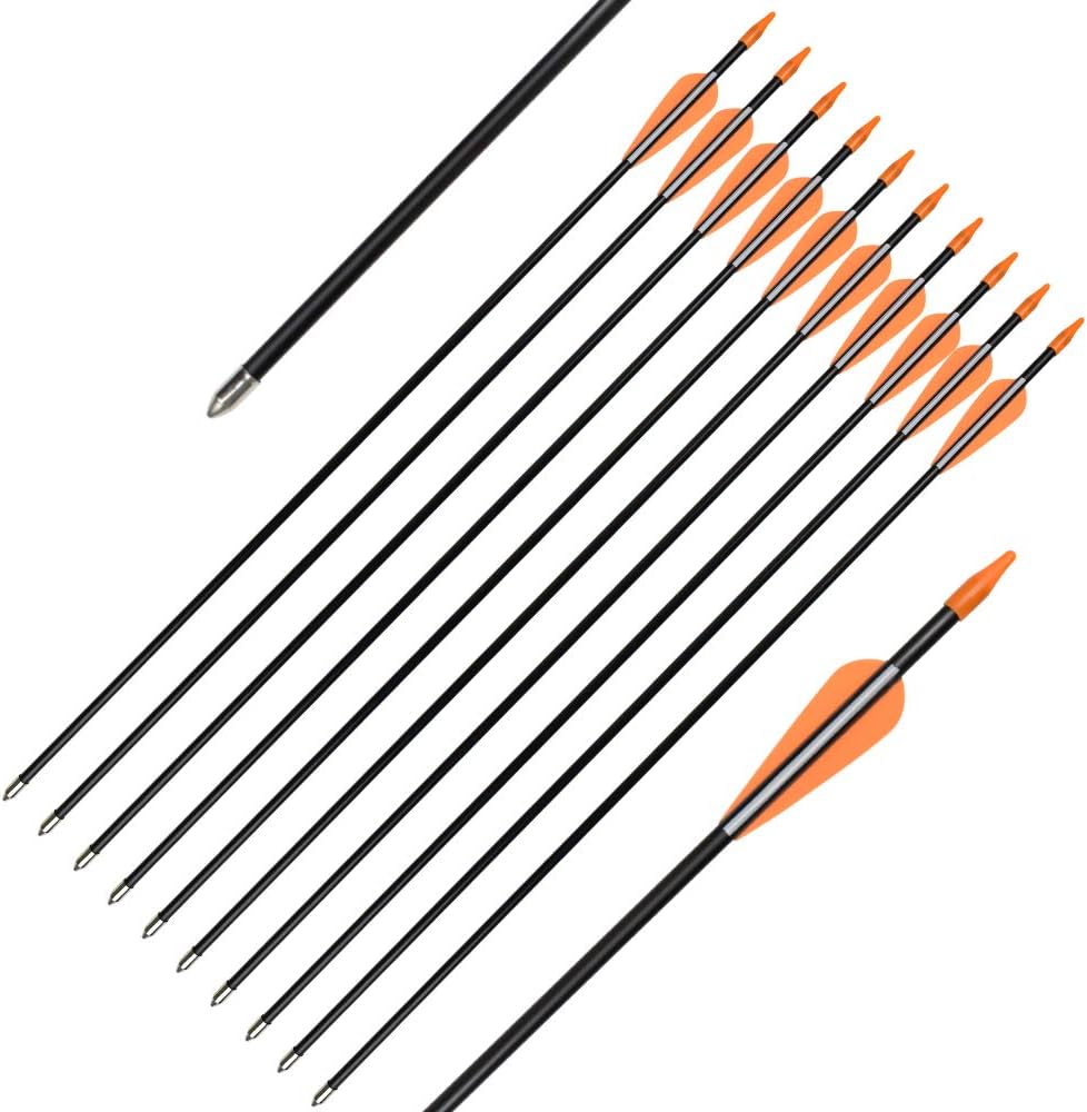 Fiberglass Archery Arrows - Target Shooting Practice | 24-30 Inch for Youth & Beginners