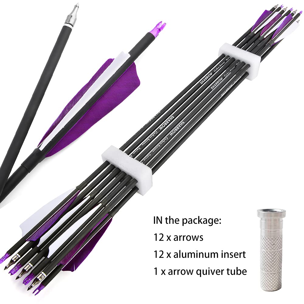 ZSHJGJR 30 Inch Archery Carbon Arrows Hunting Arrows with 4” Turkey Feather Target Practice Arrows Spine 500 for Compound & Recurve &Traditional Bow 6/12pcs (12 x Purple Arrows + Quiver)