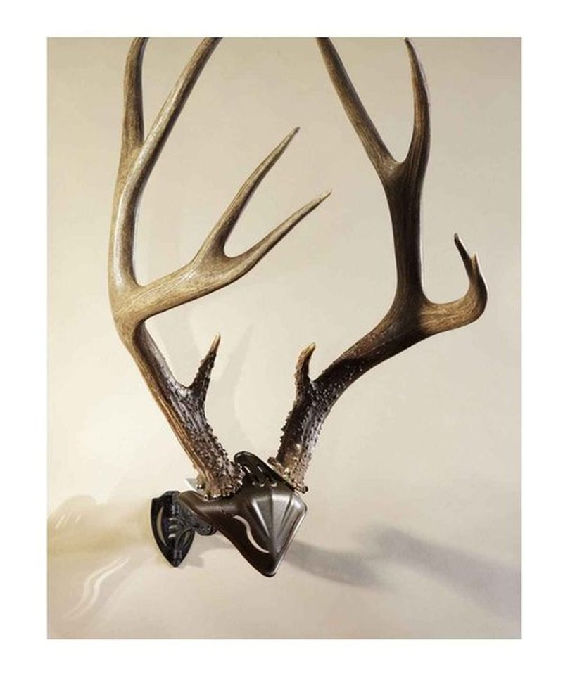 Skull Hooker Big Hooker European Trophy Mount for Elk, Moose, & Caribou Antlers, Robust Brown & Bone Bracket European Trophy Mount with Skull Cap, Graphite Black