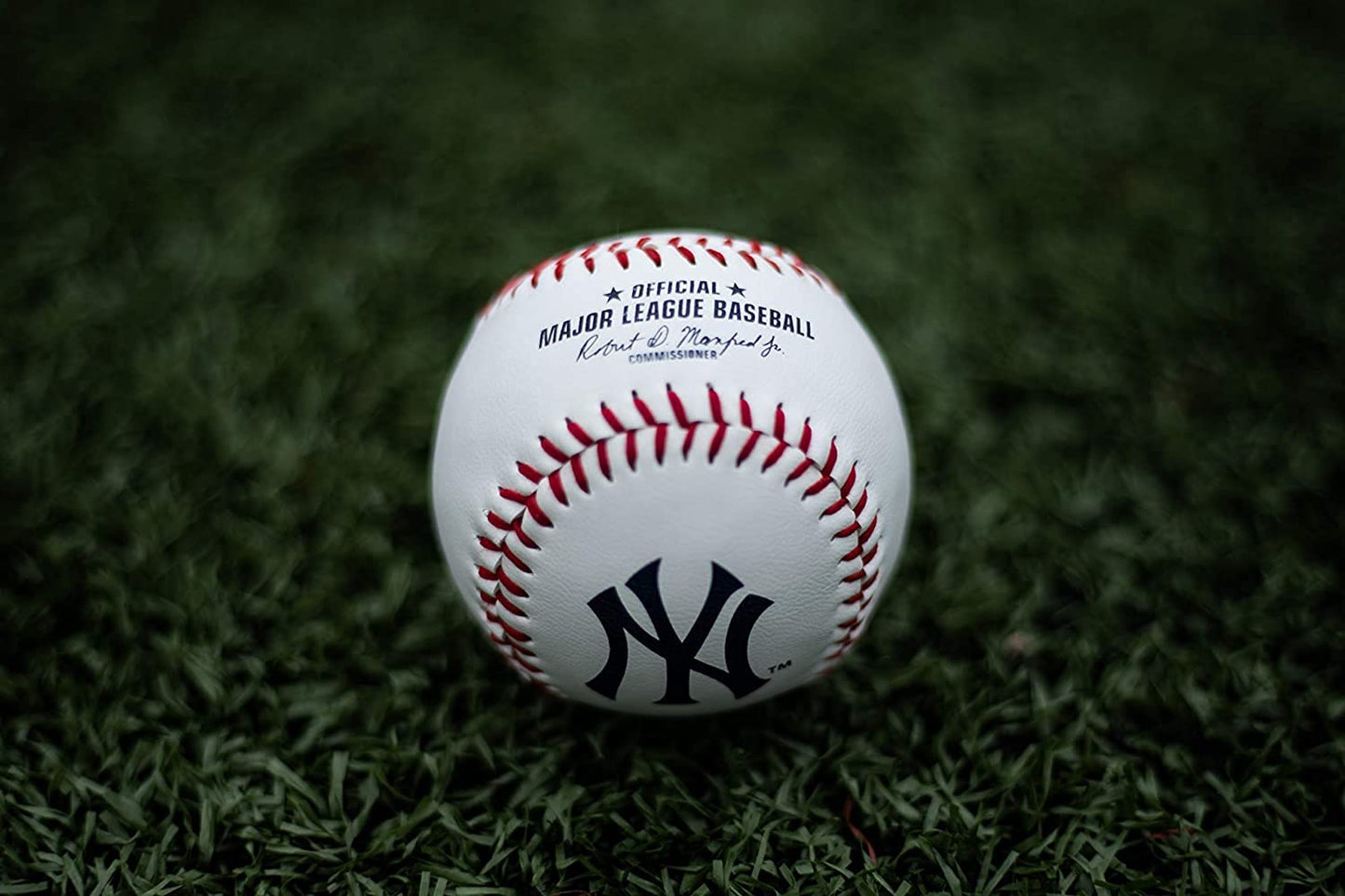 Rawlings MLB New York Yankees Team Logo Baseball, White, 1