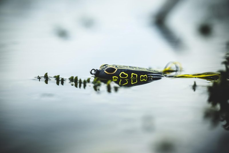Berkley Hollow Body Frog Fishing Bait - Realistic Design for Bass Fishing | 3" Green Color