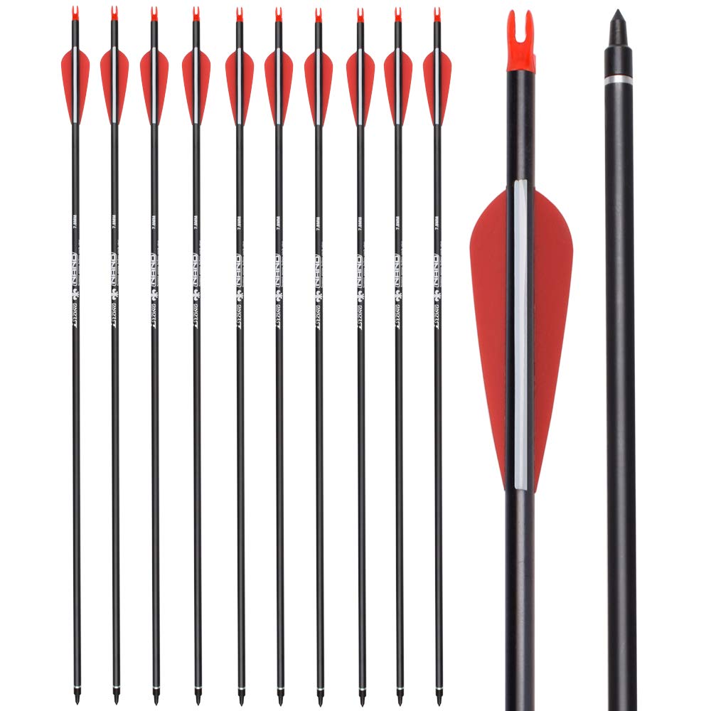 Archery Carbon Arrow Hunting Target Practice Arrows 28 Inch with Removable Tips for Compound & Recurve Bow 500 Spine 6PCS