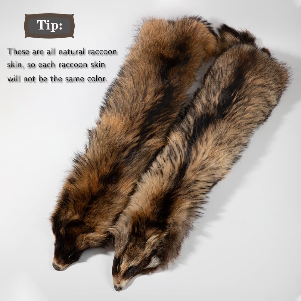 Natural Tanned Raccoon Fur Pelts - Premium Quality Real Skin for Fly Tying & Crafts | 29.5-31.5" Length, 9.8-11.8" Width, Brown
