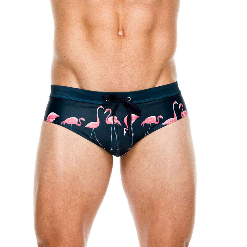 Lukitty Men's Flamingo Print Thong Swimwear Bikini Pouch Briefs Beach Swimsuit XXL