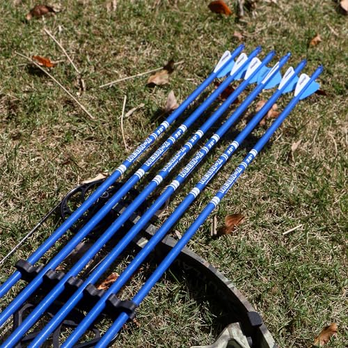 BOWSOUL Carbon Arrow Archery 30inch Bright Colors Hunting Target Practice Arrows for Compound & Recurve Bow Spine 500 with Removable Tips (Pack of 12) (Bright Blue)