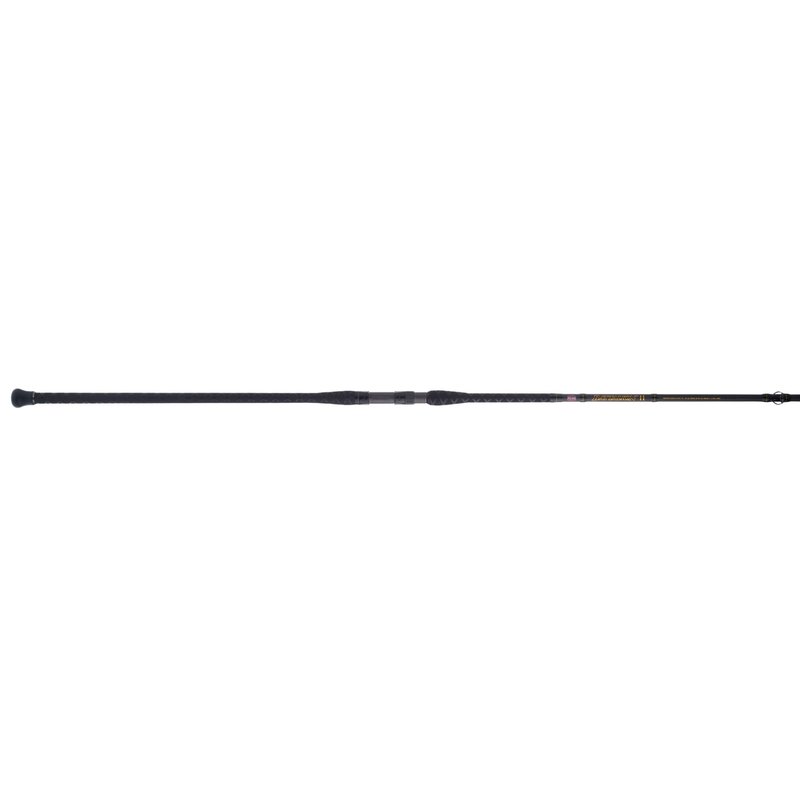 PENN 10’ Squadron III Surf Conventional Casting Rod, 2-Piece Graphite Composite Fishing Rod, Titanium/Red/Gold