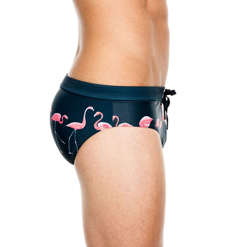 Lukitty Men's Flamingo Print Thong Swimwear Bikini Pouch Briefs Beach Swimsuit XXL