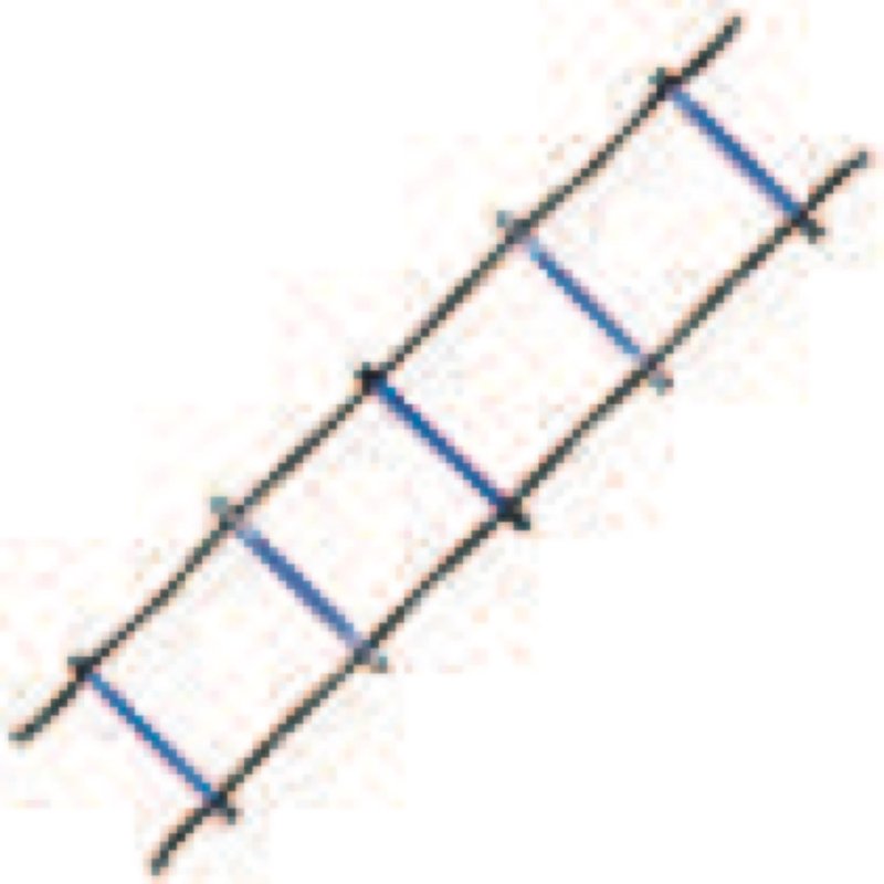 Champion Sports Sectioned Agility Ladder Set, Red/Yellow/Blue/Green, 6.5" x 16" Wide