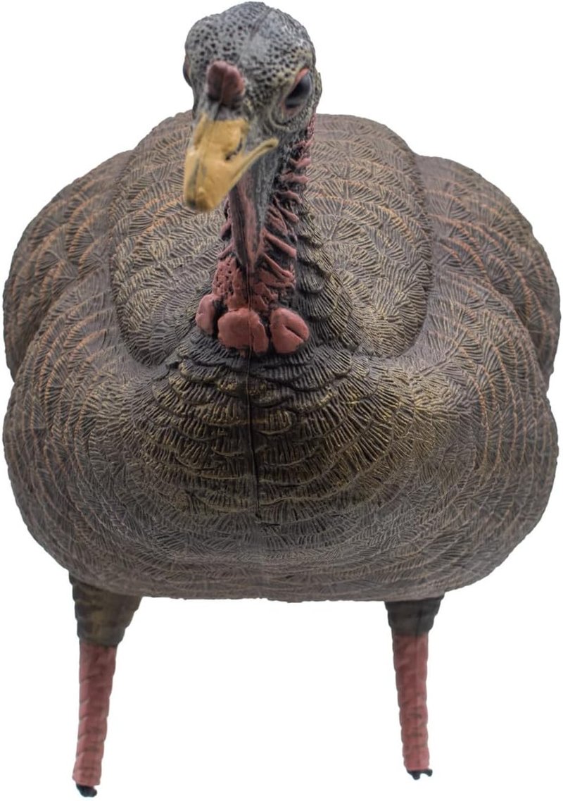 Live Breeder Hen Turkey Decoy - Realistic Hunting Decoy for Effective Turkey Lure