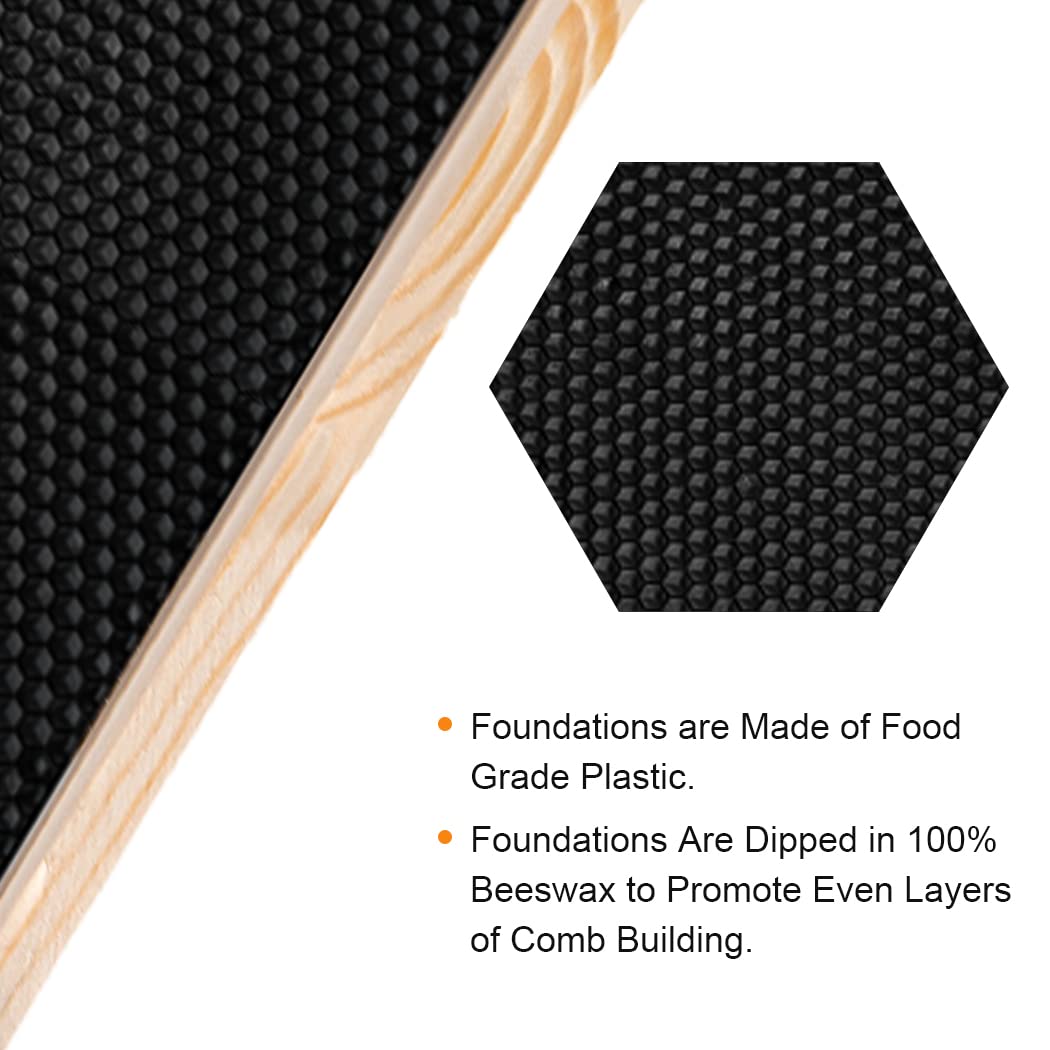 MayBee 20 Pack Honey Bee Frames with 100% Beeswax Coated Food Grade Foundation Sheets, Complete Unassembled Deep Beehive Frames and Foundations