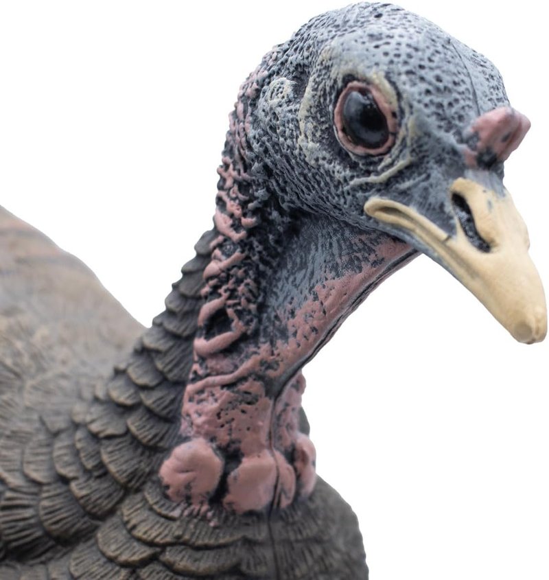 Live Breeder Hen Turkey Decoy - Realistic Hunting Decoy for Effective Turkey Lure