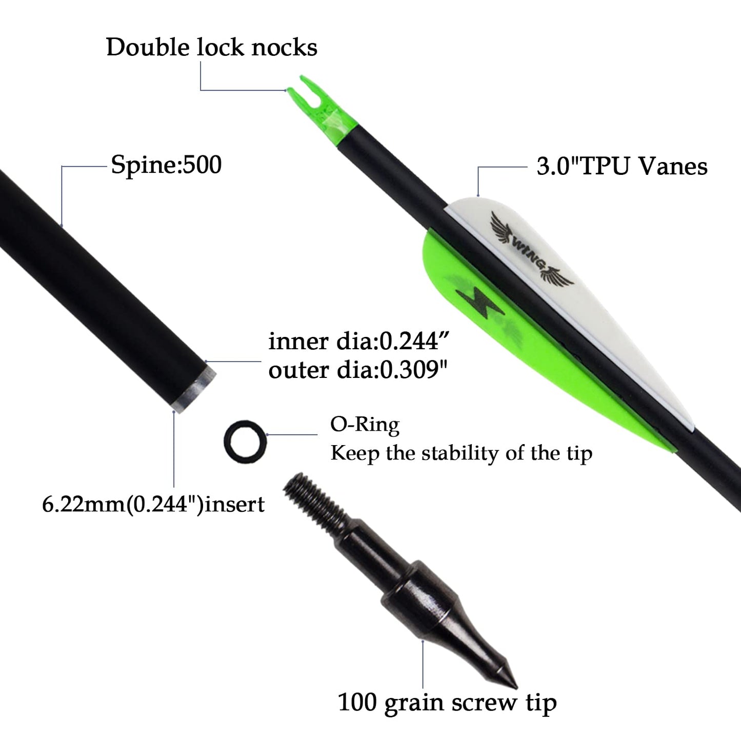 31inch Carbon Arrow Archery Targeting Practice Hunting Arrows for Compound & Recurve Bow with Removable Tips(Pack of 12) (Green White)