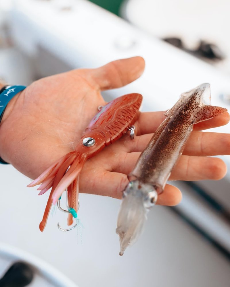 Nomad Design Squidtrex Vibrating Fishing Lure - TPE Soft Plastic Bait with Strong BKK Assist Hooks | Saltwater Fishing