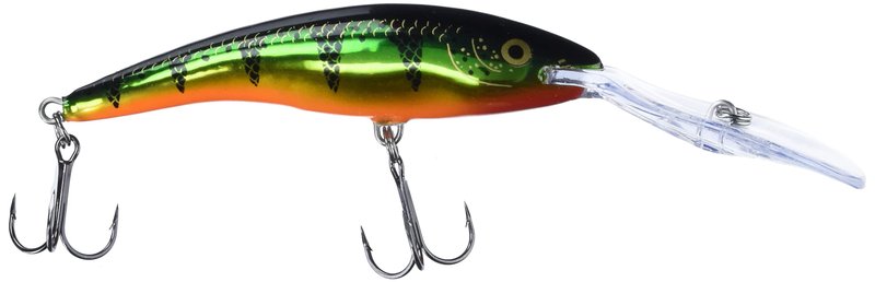 Deep Tail Dancer 11 Flash Perch