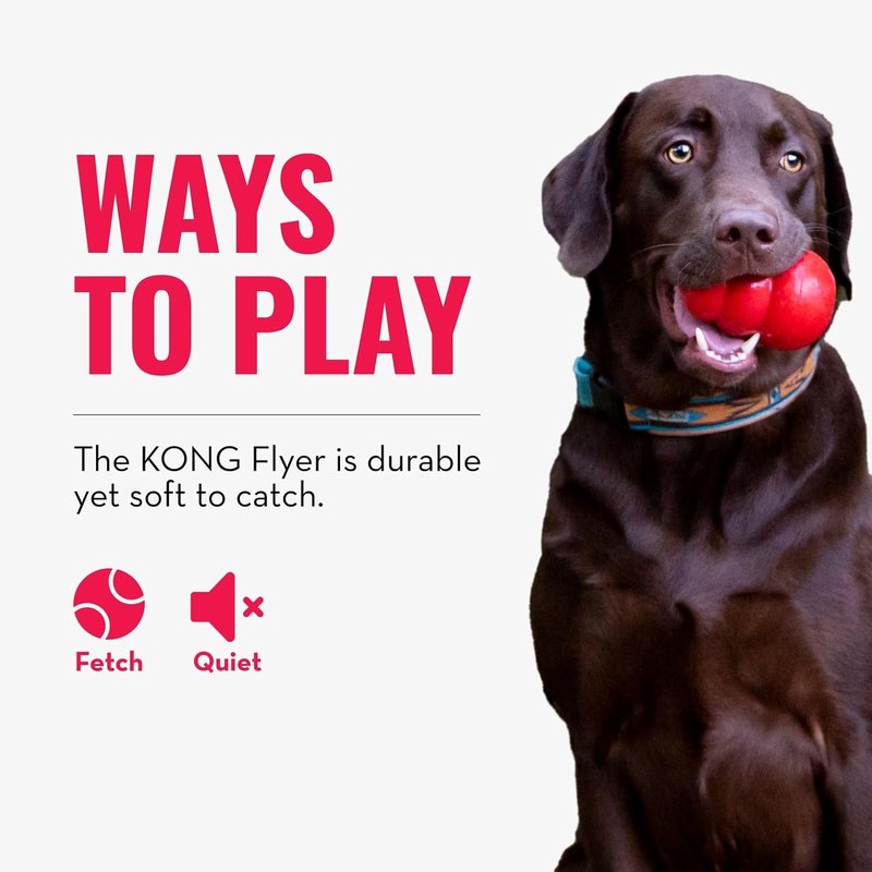 KONG Flyer Dog Toy - Durable Natural Rubber Flying Disc for Fetch | Ideal for Medium/Large Dogs