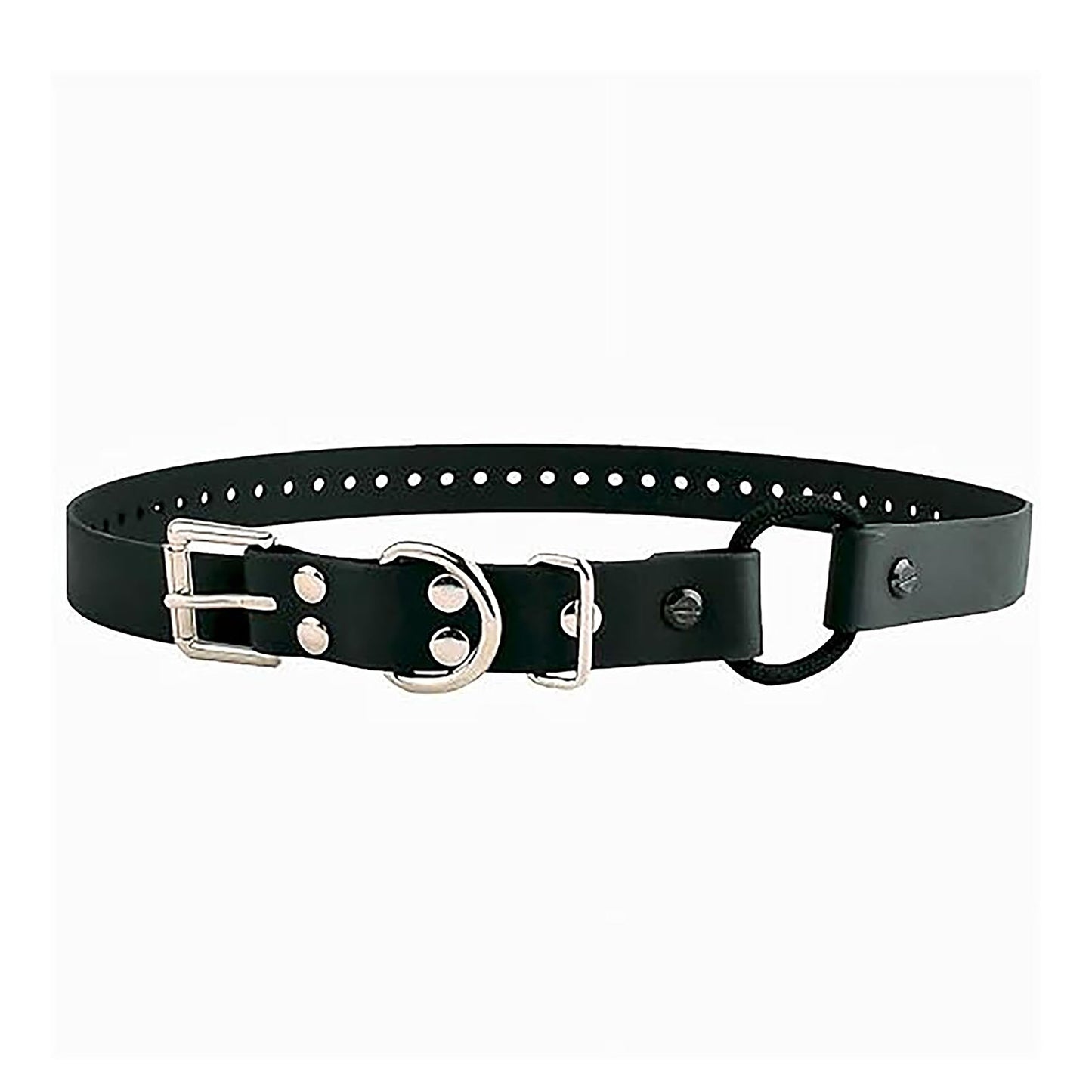 Educator Bungee Dog Collar, Biothane, Waterproof, Odorproof, Metal Buckle and D Ring with Comfort Bungee Loop Adjustable for Custom Fit, 1-Inch, Black