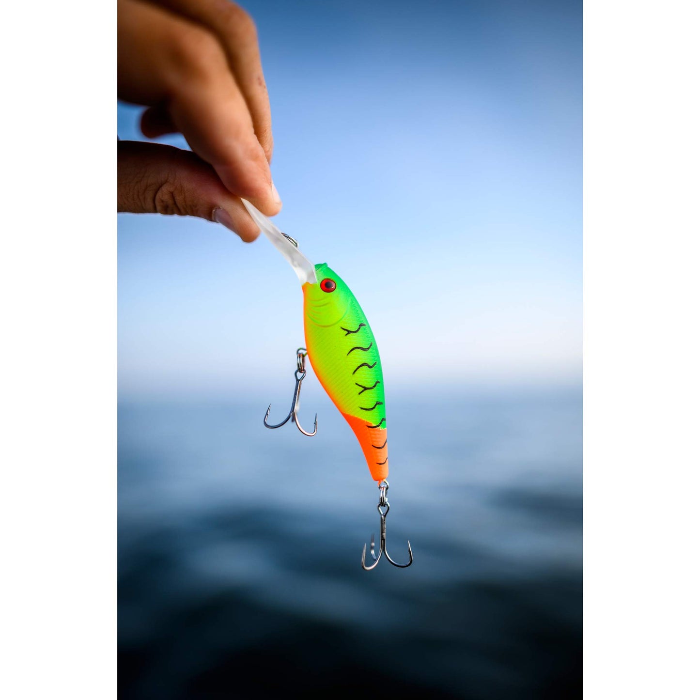 Berkley Flicker Shad Fishing Lure, HD Smelt, 5/16 oz, 2 3/4in | 7cm Crankbaits, Size, Profile and Dive Depth Imitates Real Shad, Equipped with Fusion19 Hook