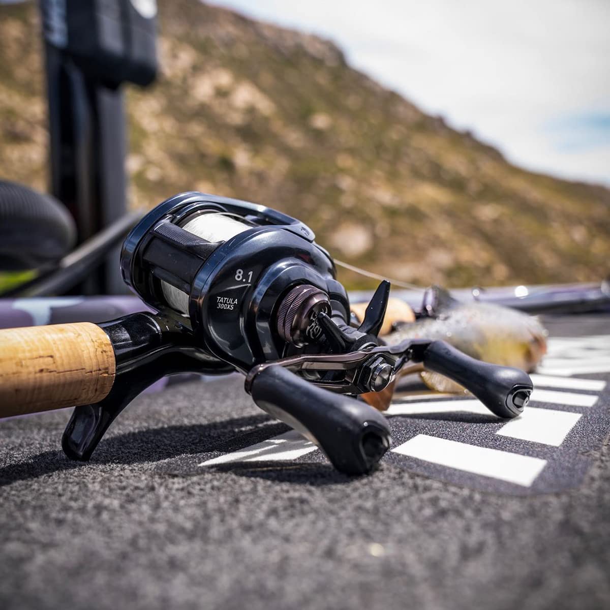Daiwa Laguna LT Spinning 5000, 3 + 1, 5.2 : 1