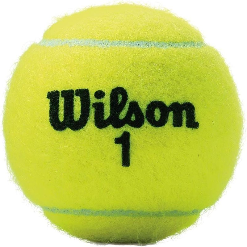 Wilson Tennis Ball Case - Championship Extra Duty Storage | Durable Design