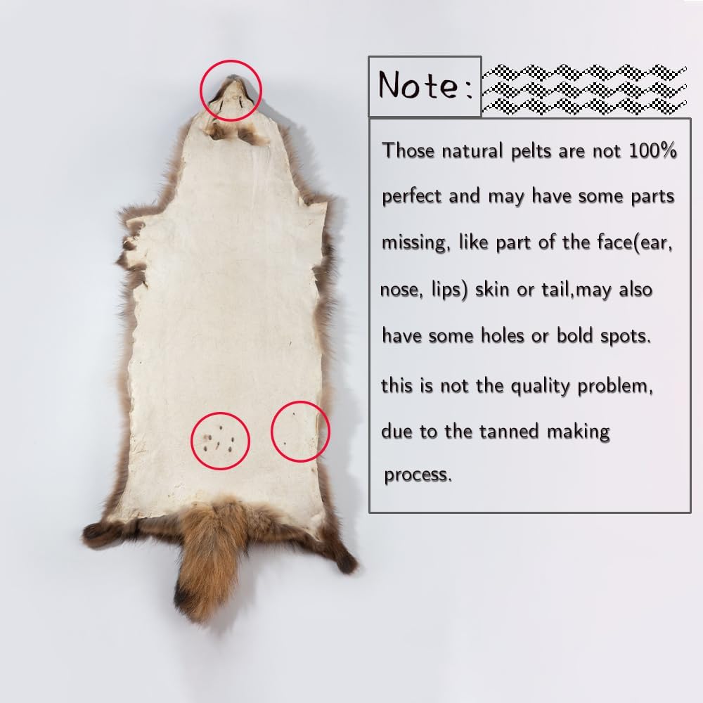 Natural Tanned Raccoon Fur Pelts - Premium Quality Real Skin for Fly Tying & Crafts | 29.5-31.5" Length, 9.8-11.8" Width, Brown