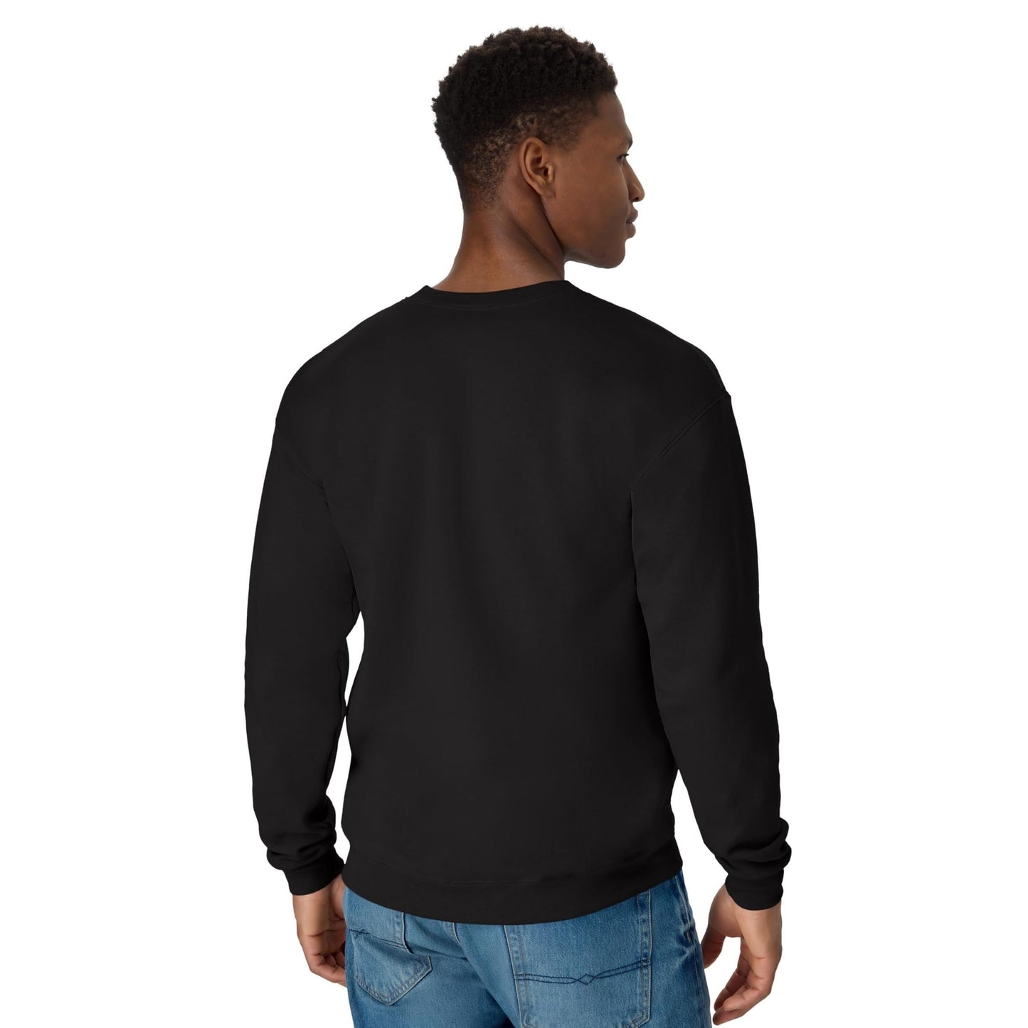 Hanes Men's EcoSmart Sweatshirt, Black, Large
