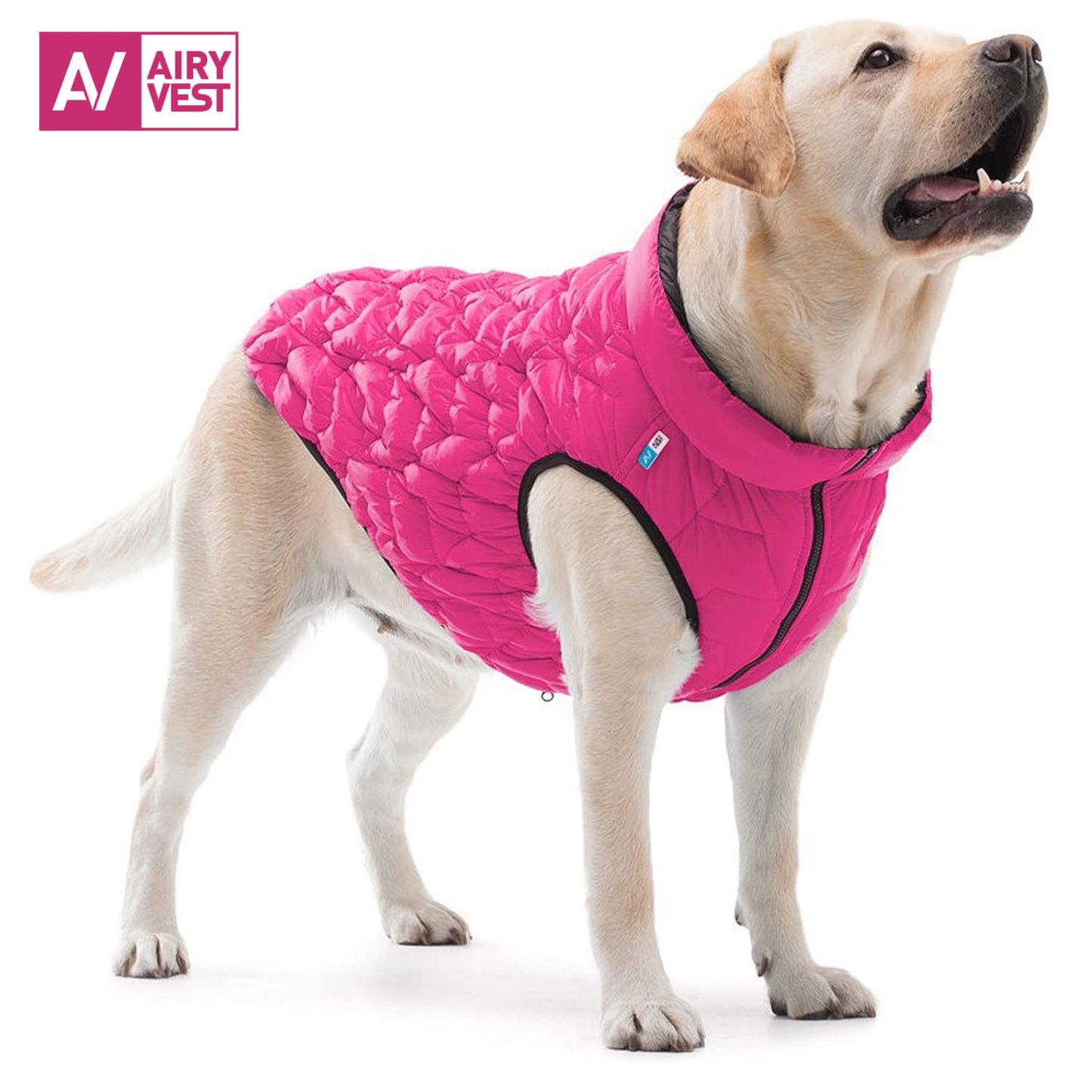 AiryVest Dog Winter Coat UNI - Lightweight Reversible Warm Dog Jacket - Water Resistant Windproof Jacket - Dog Coats for Medium Dogs, Small & Large Dogs Vest XXS