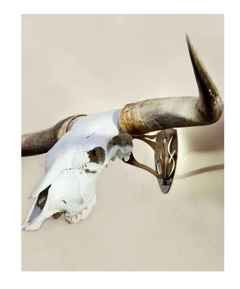 Skull Hooker Big Hooker European Trophy Mount for Elk, Moose, & Caribou Antlers, Robust Brown & Bone Bracket European Trophy Mount with Skull Cap, Graphite Black