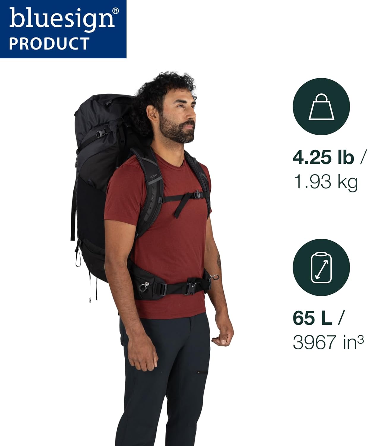 Osprey Kestrel LT 65L Men's Backpack - Lightweight Waterproof Hiking & Camping Bag | Rays Blue