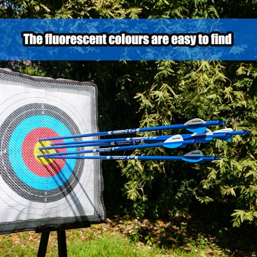 BOWSOUL Carbon Arrow Archery 30inch Bright Colors Hunting Target Practice Arrows for Compound & Recurve Bow Spine 500 with Removable Tips (Pack of 12) (Bright Blue)